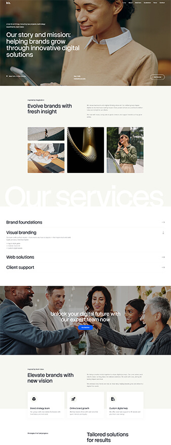 The front-end view of the 'Consulting Studio' skin, the main homepage