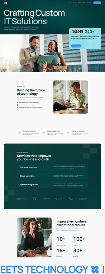The front-end view of the 'IT Company' skin, the main homepage