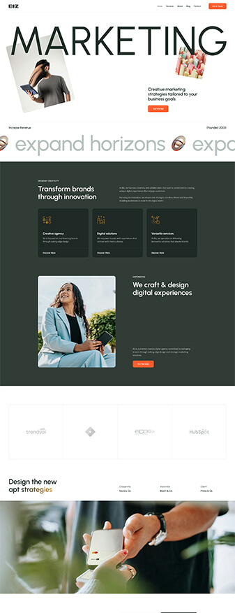 The front-end view of the 'Marketing' skin, the main homepage