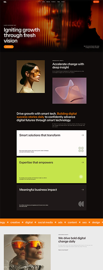 This is what the 'Marketing Agency' skin looks like, its main homepage