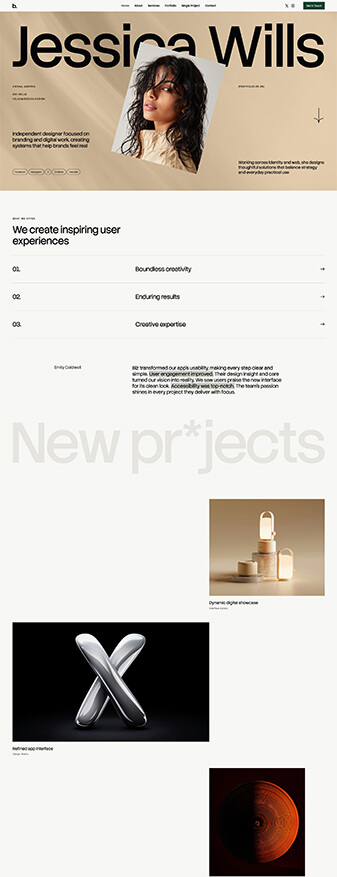 This is what the 'Personal Portfolio' skin looks like, its main homepage
