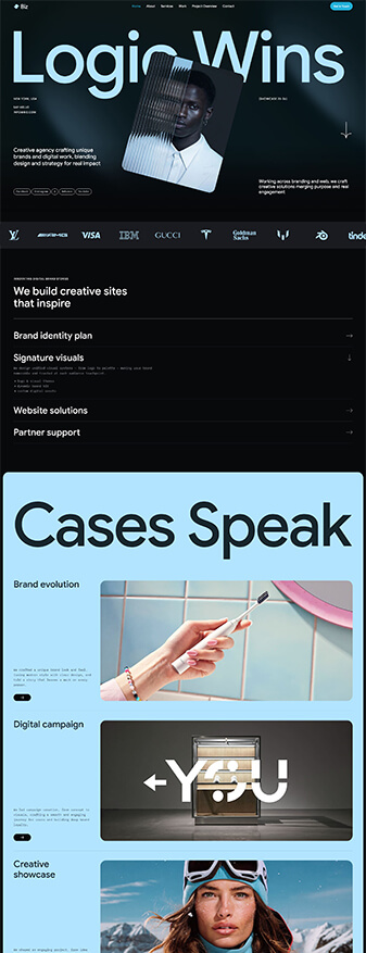 This is what the 'Agency' skin looks like, its main homepage