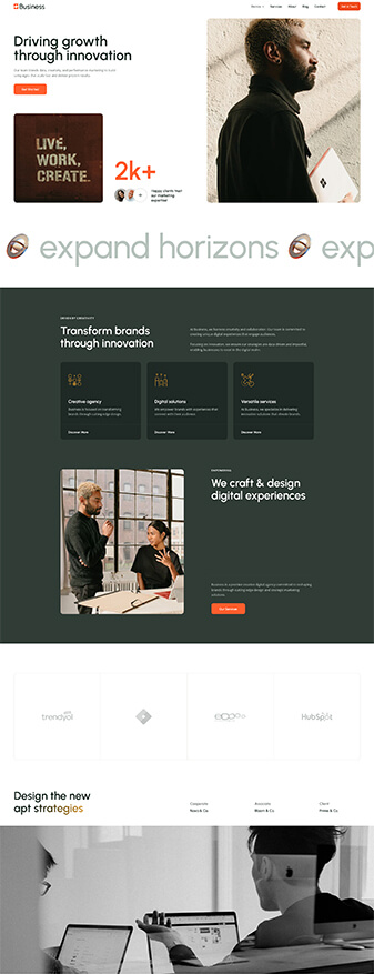 This is what the 'Marketing' skin looks like, its main homepage