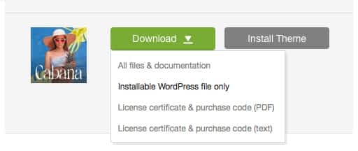 'Downloads' tab in your ThemeForest account