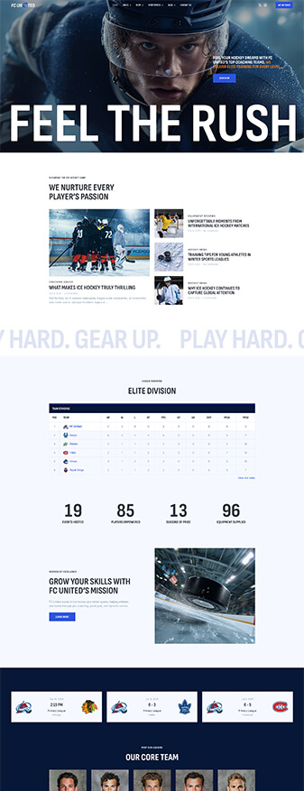 The main homepage of the 'Hockey' skin