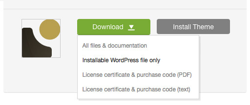 'Downloads' tab in your ThemeForest account