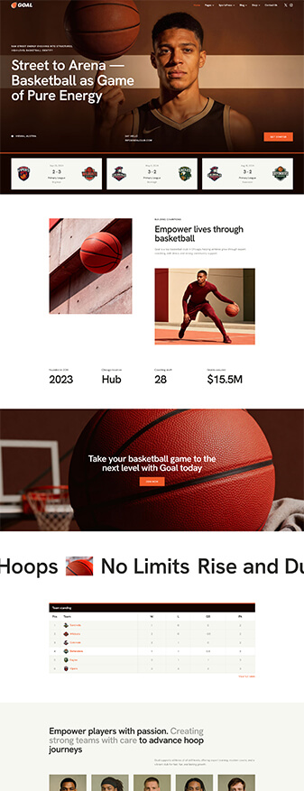 This is what the 'Basketball' skin looks like, its main homepage