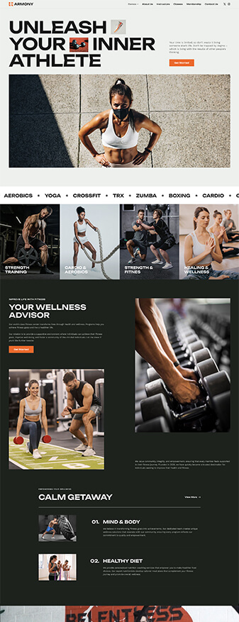 The front-end view of the 'Fitness' skin, the main homepage