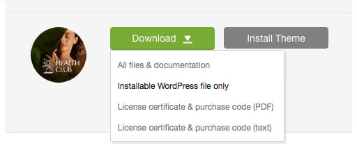 'Downloads' tab in your ThemeForest account
