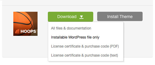'Downloads' tab in your ThemeForest account