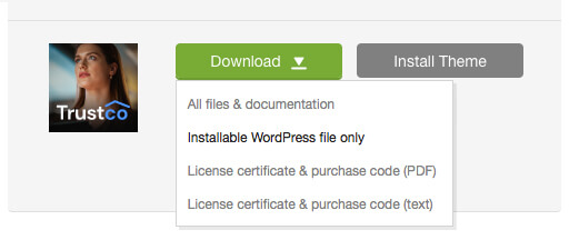 'Downloads' tab in your ThemeForest account