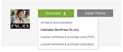 'Downloads' tab in your ThemeForest account