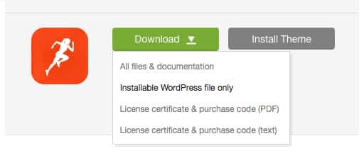 'Downloads' tab in your ThemeForest account