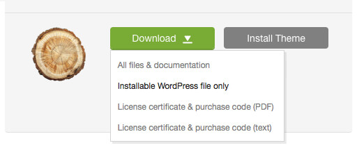'Downloads' tab in your ThemeForest account