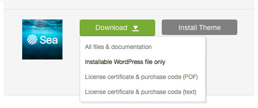 'Downloads' tab in your ThemeForest account