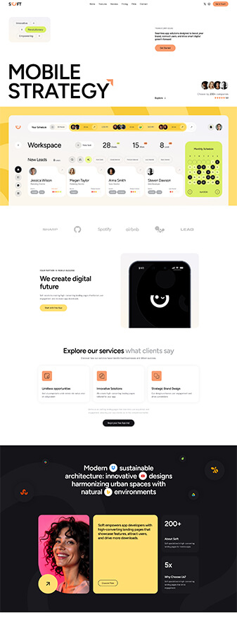 This is what the 'App' skin looks like, its main homepage