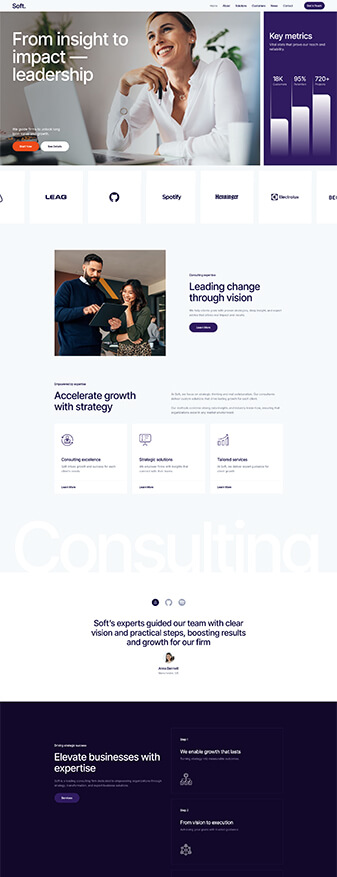 This is what the 'Consulting Firm' skin looks like, its main homepage