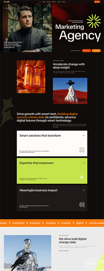The main homepage of the 'Marketing' skin