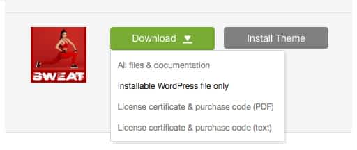 'Downloads' tab in your ThemeForest account