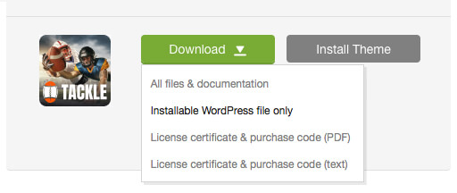 'Downloads' tab in your ThemeForest account